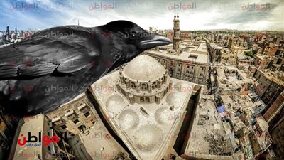 الكشافة البحرية تشارك في احتفالات العيد القومي لـ القاهرة