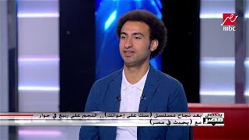 الفنان على ربيع 