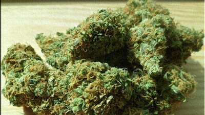 ضبط عاطل بشبرا الخيمة لاتجاره فى 