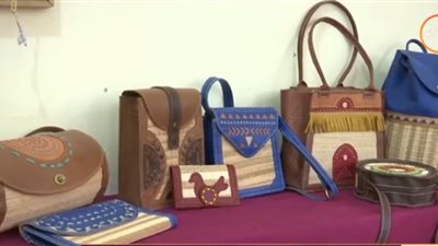 فيديو.. مشروع جديد يهدف لإكساب النساء مهارات حرفية في أسوان