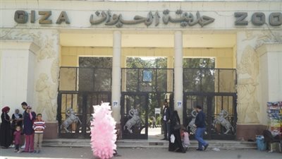 حملة إشغالات مكبرة بمحيط حديقة الحيوان بـ الجيزة