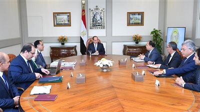 السيسي يؤكد على أهمية وصول خدمة طبية متميزة إلى المواطن