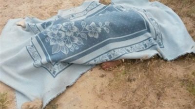 مصرع طفل إثر اصطدام سيارة به بالمنوفية