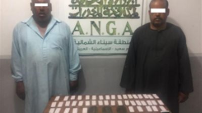 ضبط عاطلين لترويجهم المواد المخدرة بالإسماعيلية