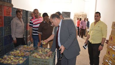 صور.. سكرتير عام محافظة الوادي الجديد يتفقد مجمع 