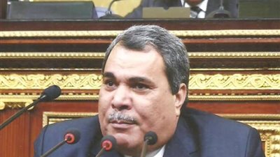 نائب قنا يحصل على 5 ملايين جنيه لدعم المشروعات الخدمية بالمحافظة