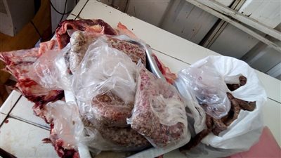 إعدام 23 طبق ممبار 