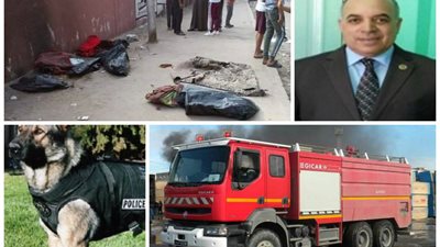 بين انعدام الرحمة وغرابة الجريمة .. أبرز حوادث اليوم