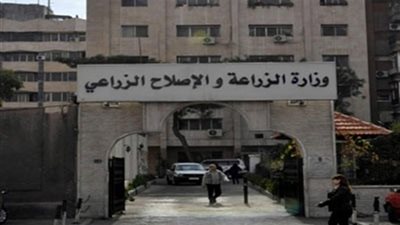 الزراعة تنفي ما تردد عن انتقال فيروس الجلد العقدي الذي يصيب الماشية للإنسان
