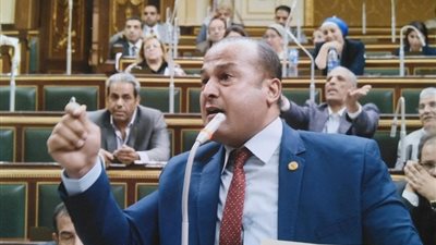 النائب محمد عمارة: بدء إنشاء مجمع مدارس بالبحيرة بعد موافقة الحكومة
