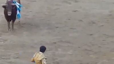 فيديو.. ثور يفتك بمصارع تعثر أمامه بطريقة غير طبيعية 