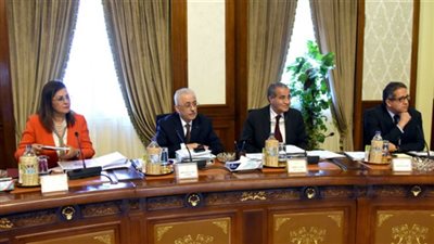 وزيرة التخطيط: إصلاح الهيكل الإداري للدولة يهدف لتحقيق 