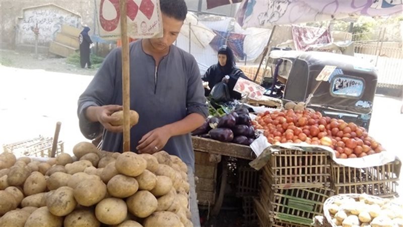 اسواق سوهاج-اسعار