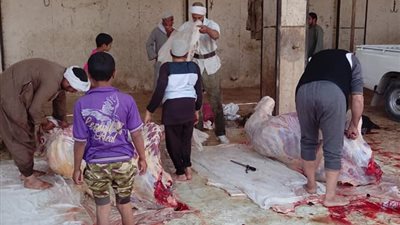 مدير الطب البيطري بـ سوهاج: حملات مكبرة على المجازر لمتابعة أعمال الذبح