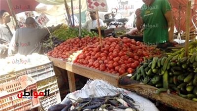 تعرف على أسعار الخضراوات والفاكهة اليوم الأحد 15-7-2018 في سوهاج