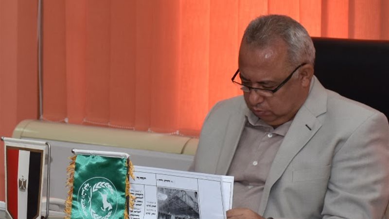 محافظ الشرقية 