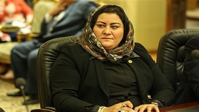 الدكتورة غادة صقر تشيد باستجابة وزارة التنمية المحلية لمطالب أهالي دمياط