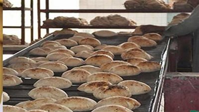 تحرير 16 محضر تمويني في حملة مكبرة بـ دير مواس