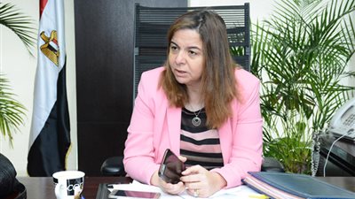 مي عبد الحميد: تخصيص 643 وحدة لمشروع إسكان المصريين العاملين بالخارج