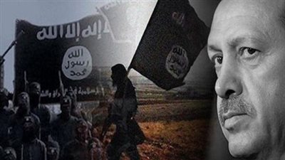 أردوغان يرسل الإرهاب إلى سيناء .. ومصر تنقذ تركي في القاهرة 