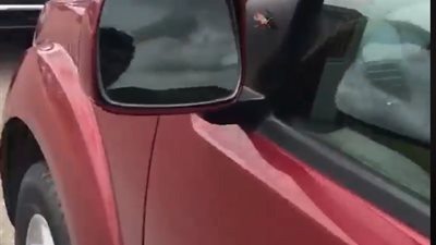 فيديو| شاهد ماذا فعل رجل عثر على 