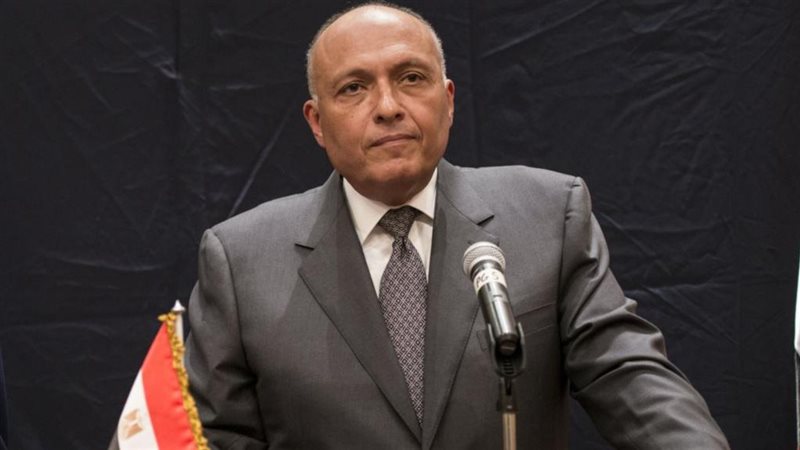 سامح شكري وزير الخارجية