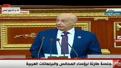 بث مباشر .. جلسة طارئة لرؤساء المجالس والبرلمانات العربية