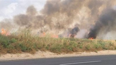 عاجل.. إعلام الاحتلال: وقوع حريق بمصنع الألبان في غزة