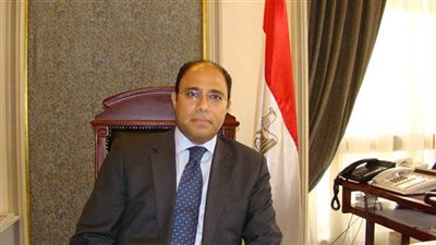 المتحدث بإسم الخارجية عن ثورة 23 يوليو:  بطولة شعب إلتف حول قيادته