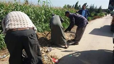 حملات نظافة مكبرة للمصارف والترع لـ منع انتشار الثعابين في الدلنجات