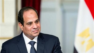 السيسي لمشرف محطة كهرباء: ربنا يوفقكم