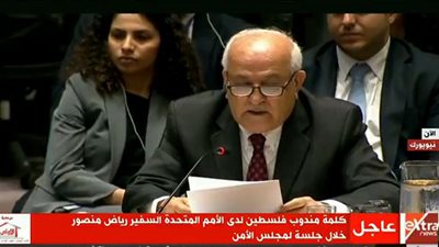 بث مباشر.. جلسة لمجلس الأمن حول القضية الفلسطينية 