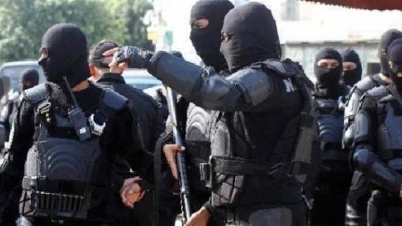 الشرطة المصرية