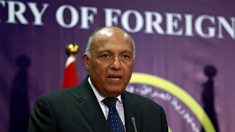 سامح شكري وزير الخارجية