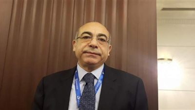 مصر في مجلس الأمن: نتمسك بإقامة دولة فلسطينية بناء على حدود 67