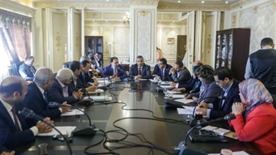صحة النواب توصى بحظر حبوب الغلة بعد تزايد استخدامها فى الانتحار