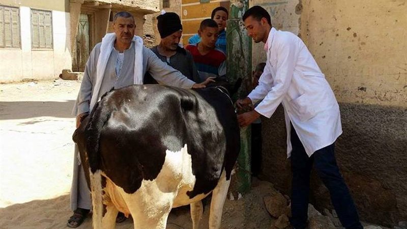 حملات بيطرية -الوادي