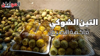 فيديوجراف.. 8 فوائد صحية لـ التين الشوكي.. أبرزها رفع كفاء الجهاز المناعى