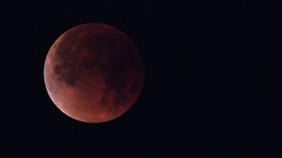اليوم .. أكبر ظاهرة كسوف في القرن ال 21 