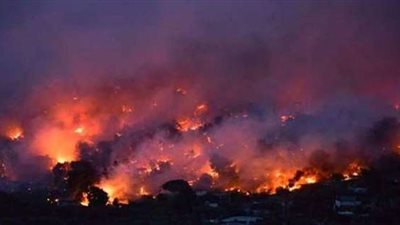 مصر تقدم التعازي بضحايا حريق الغابات باليونان: نقف حكومة وشعبا معكم 
