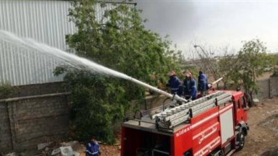 قوات الحماية المدنية تسيطر على حريق بمزرعة مانجو فى الجيزة