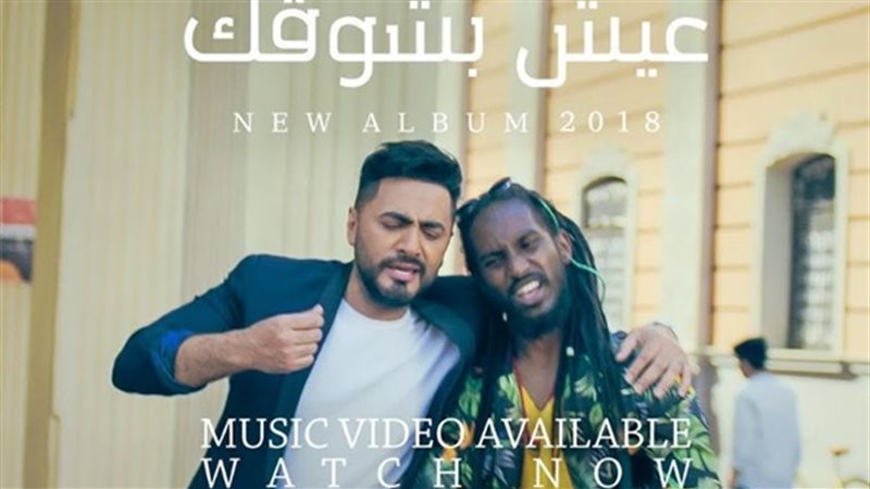 الفنان تامر حسني