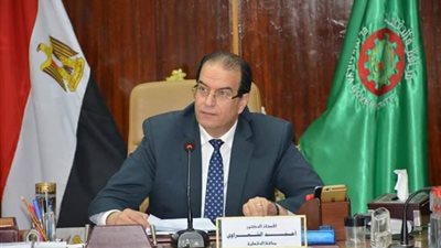 محافظ الدقهلية لـ
