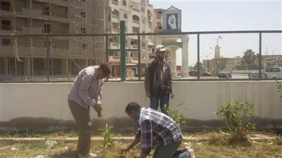 المهن التعليمية تفعل مبادرة السيسي لـ زراعة مليون شجرة
