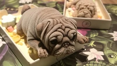 صور .. مقهى  يقدم لزبائنه آيس كريم على شكل كلب