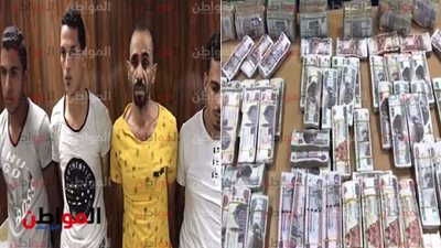 فيديو.. ضبط مرتكبي واقعة سرقة مليون جنيه من شقة مالك مدينة ملاهى بـ الدقهلية