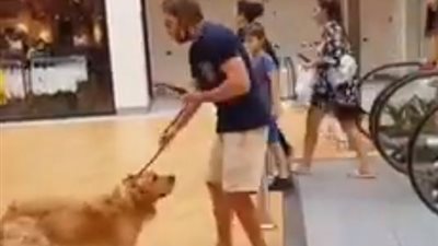 فيديو.. شاب يحمل كلبه لخوفه من السلم الكهربائي بطريقة مضحكة