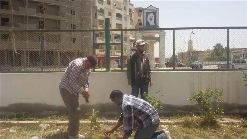 مبادرة مليون شجرة