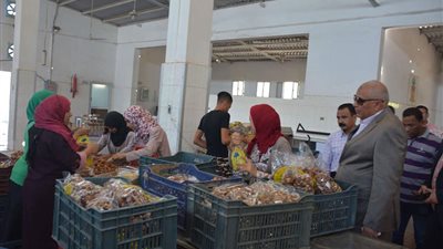 صور.. إعلان أسعار البلح على شاشات العرض بالوادي الجديد