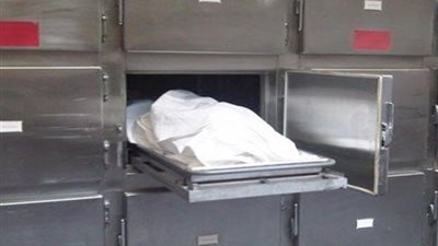 مصرع شاب طعنا بسبب خلاف على مروى أرض زراعية بـ كفرالشيخ 